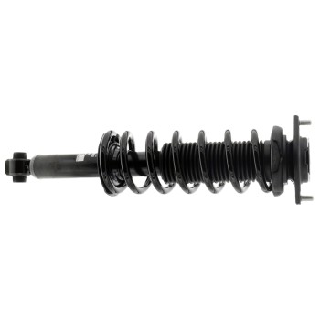 Suspension Strut and Coil Spring Assembly