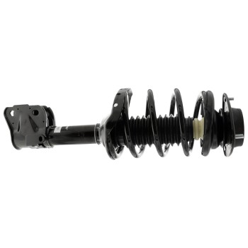 Suspension Strut and Coil Spring Assembly