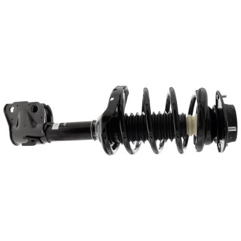 Suspension Strut and Coil Spring Assembly