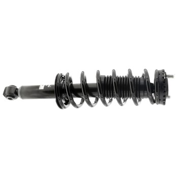 Suspension Strut and Coil Spring Assembly