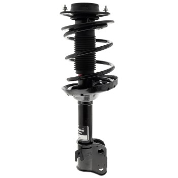 Suspension Strut and Coil Spring Assembly