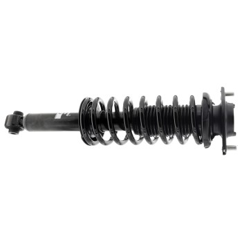 Suspension Strut and Coil Spring Assembly