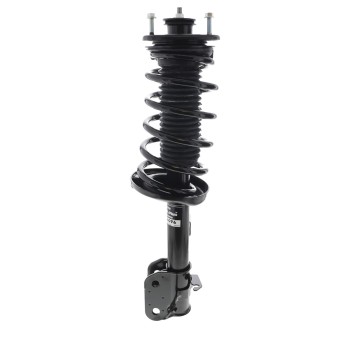 Suspension Strut and Coil Spring Assembly