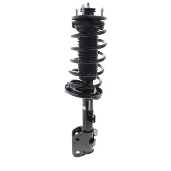Suspension Strut and Coil Spring Assembly