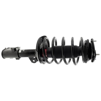 Suspension Strut and Coil Spring Assembly
