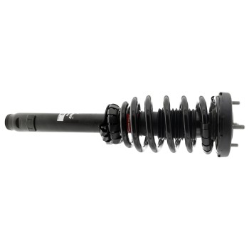 Suspension Strut and Coil Spring Assembly