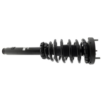 Suspension Strut and Coil Spring Assembly