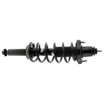Suspension Strut and Coil Spring Assembly