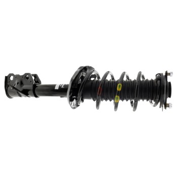 Suspension Strut and Coil Spring Assembly