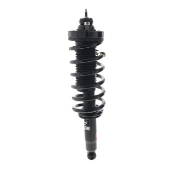 Suspension Strut and Coil Spring Assembly