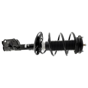Suspension Strut and Coil Spring Assembly