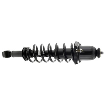 Suspension Strut and Coil Spring Assembly
