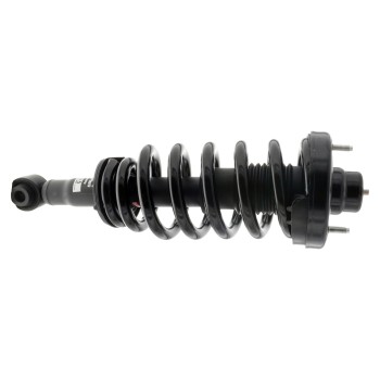 Suspension Strut and Coil Spring Assembly