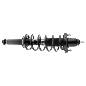 Suspension Strut and Coil Spring Assembly