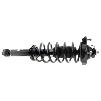 Suspension Strut and Coil Spring Assembly