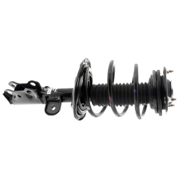 Suspension Strut and Coil Spring Assembly