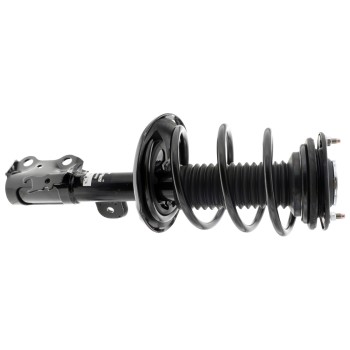 Suspension Strut and Coil Spring Assembly