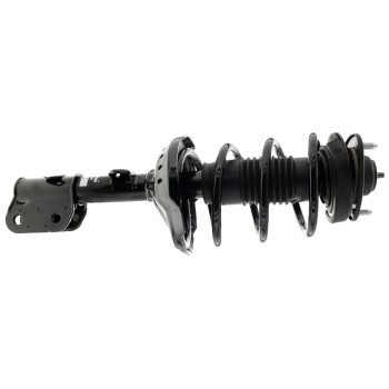 Suspension Strut and Coil Spring Assembly