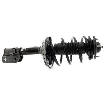 Suspension Strut and Coil Spring Assembly