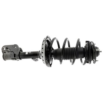 Suspension Strut and Coil Spring Assembly