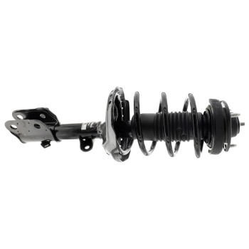 Suspension Strut and Coil Spring Assembly