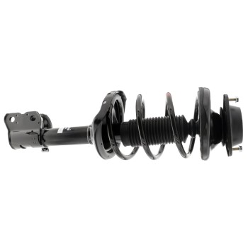 Suspension Strut and Coil Spring Assembly