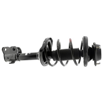 Suspension Strut and Coil Spring Assembly