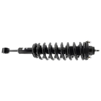 Suspension Strut and Coil Spring Assembly