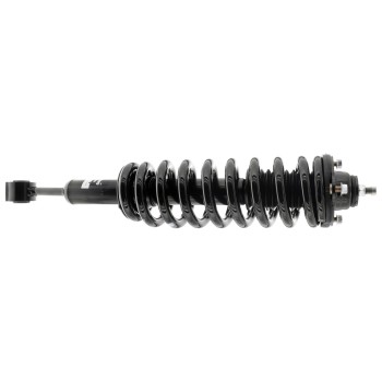 Suspension Strut and Coil Spring Assembly