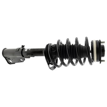 Suspension Strut and Coil Spring Assembly