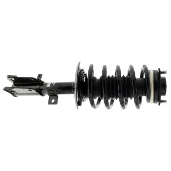 Suspension Strut and Coil Spring Assembly