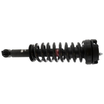 Suspension Strut and Coil Spring Assembly
