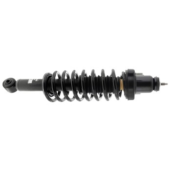 Suspension Strut and Coil Spring Assembly