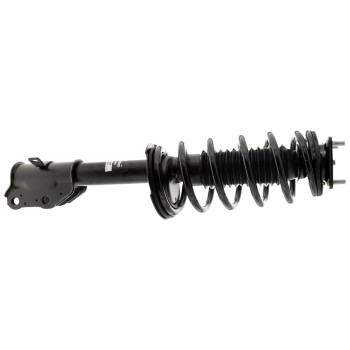 Suspension Strut and Coil Spring Assembly