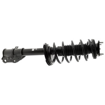 Suspension Strut and Coil Spring Assembly