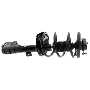 Suspension Strut and Coil Spring Assembly