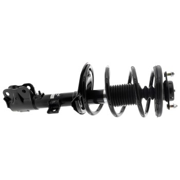 Suspension Strut and Coil Spring Assembly