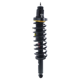 Suspension Strut and Coil Spring Assembly