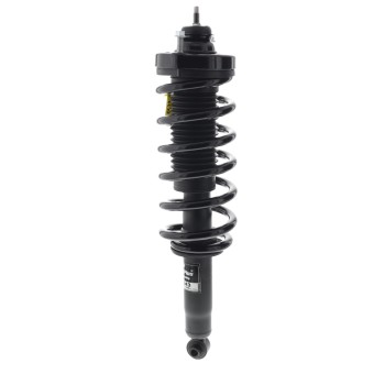 Suspension Strut and Coil Spring Assembly