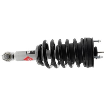 Suspension Strut and Coil Spring Assembly