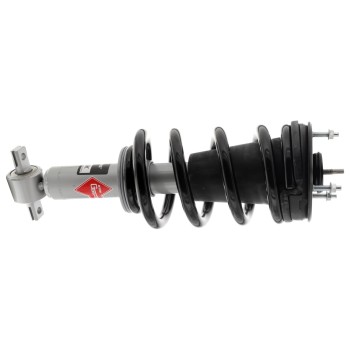 Suspension Strut and Coil Spring Assembly