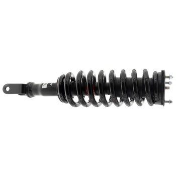 Suspension Strut and Coil Spring Assembly