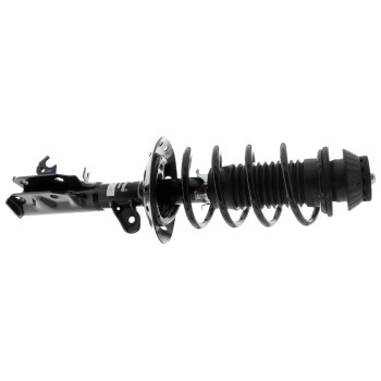 Suspension Strut and Coil Spring Assembly