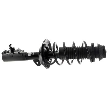 Suspension Strut and Coil Spring Assembly