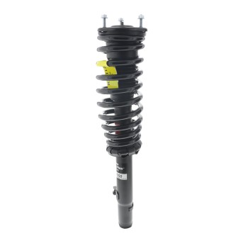 Suspension Strut and Coil Spring Assembly