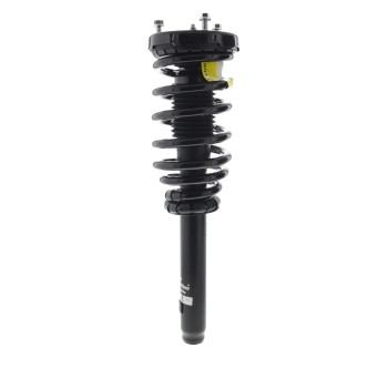 Suspension Strut and Coil Spring Assembly