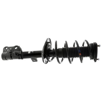 Suspension Strut and Coil Spring Assembly