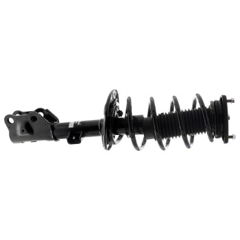 Suspension Strut and Coil Spring Assembly
