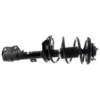 Suspension Strut and Coil Spring Assembly