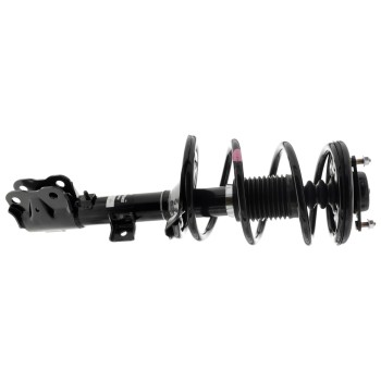 Suspension Strut and Coil Spring Assembly